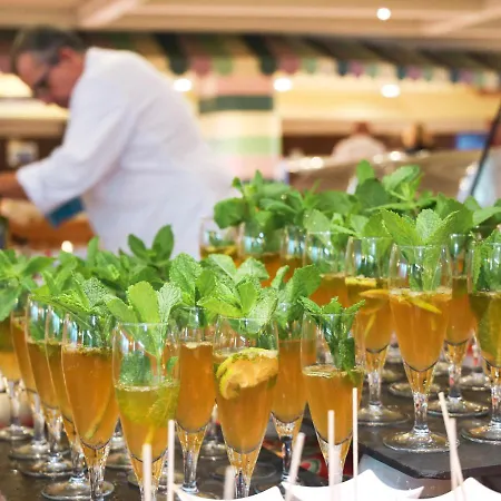 Kaktus Volga Calella