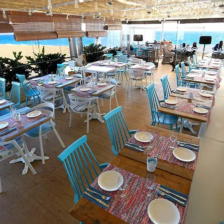 Hotel Kaktus Volga (adults Only) Calella