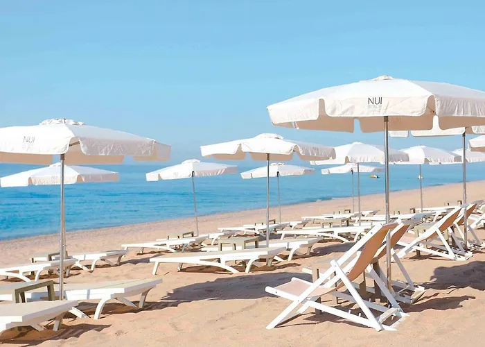 Kaktus Volga (adults Only) Hotel Calella