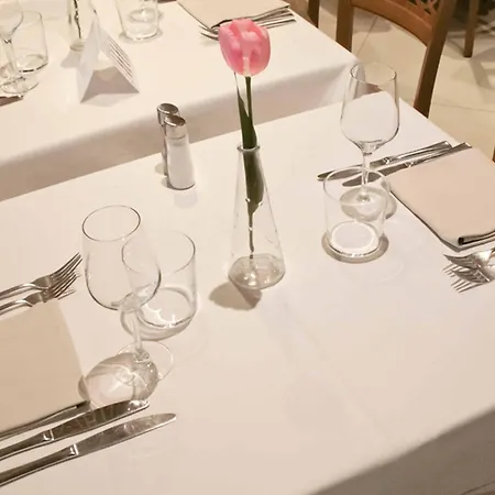 Kaktus Volga (adults Only) 4*