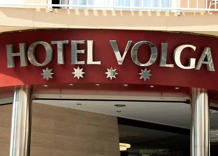 Kaktus Volga (adults Only)