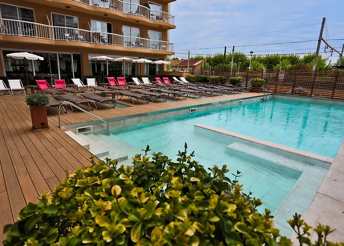 Kaktus Volga (adults Only) Calella