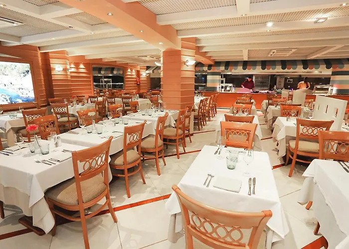 Kaktus Volga (adults Only) Calella