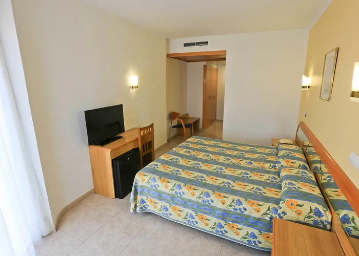 Kaktus Volga (adults Only)