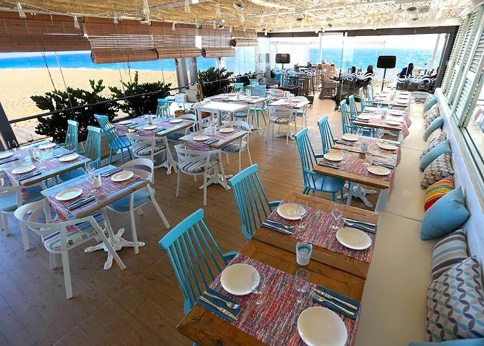 Szálloda Kaktus Volga (adults Only) Calella