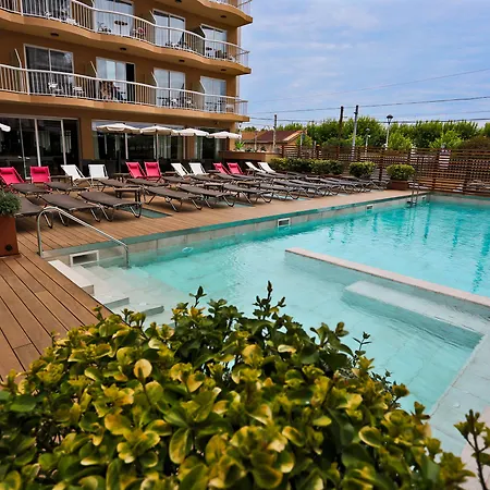 Kaktus Volga (adults Only) Calella