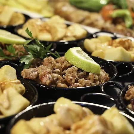 Kaktus Volga (adults Only) Calella